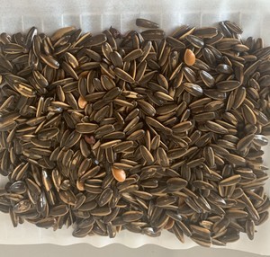 兒時(shí)美味の五香瓜子